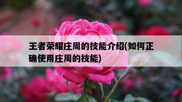 王者榮耀莊周的技能介紹，如何正確使用莊周的技能-圖1