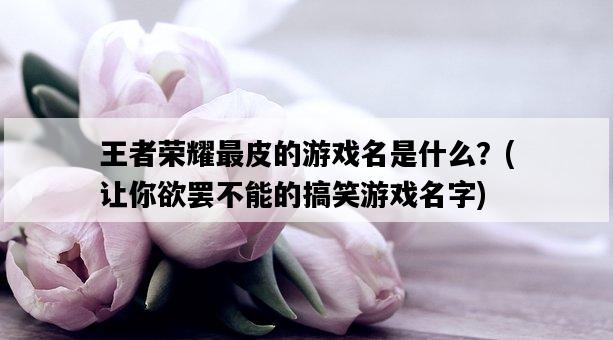 王者榮耀最皮的游戲名是什么？，讓你欲罷不能的搞笑游戲名字-圖1