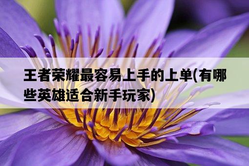 王者榮耀最容易上手的上單，有哪些英雄適合新手玩家-圖1