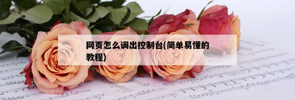 網頁怎么調出控制臺，簡單易懂的教程-圖1