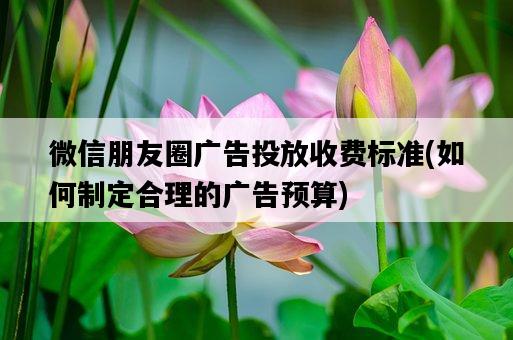 微信朋友圈廣告投放收費標準，如何制定合理的廣告預算-圖1