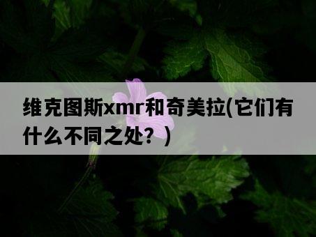 維克圖斯xmr和奇美拉，它們有什么不同之處？-圖1