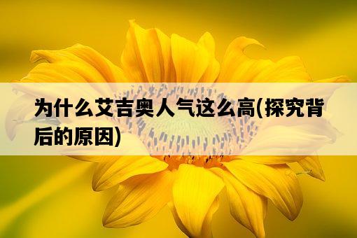 為什么艾吉奧人氣這么高，探究背后的原因-圖1