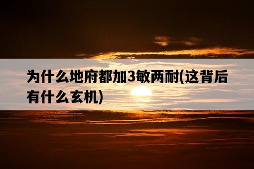 為什么地府都加3敏兩耐，這背后有什么玄機-圖1