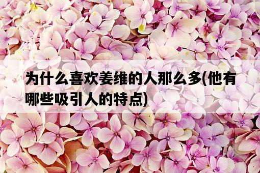 為什么喜歡姜維的人那么多，他有哪些吸引人的特點-圖1