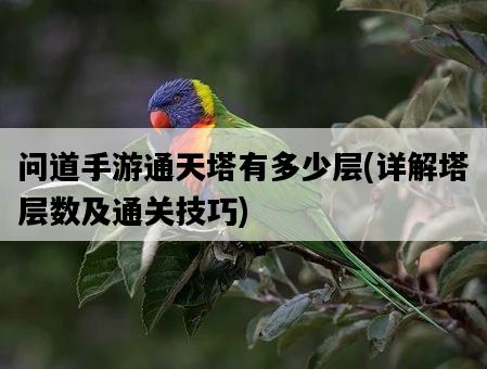 問道手游通天塔有多少層，詳解塔層數及通關技巧-圖1