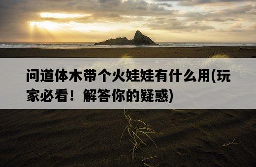 問道體木帶個火娃娃有什么用，玩家必看！解答你的疑惑-圖1