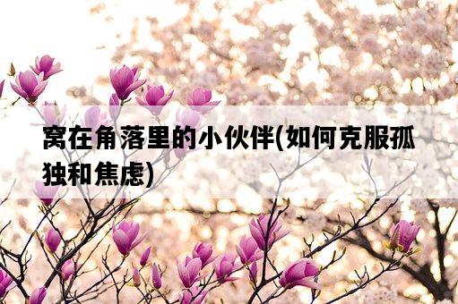 窩在角落里的小伙伴,如何克服孤獨和焦慮-圖1 窩在角落里的小伙伴,如何克服孤獨和焦慮-圖1