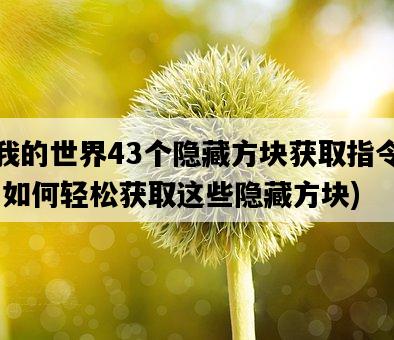 我的世界43個隱藏方塊獲取指令，如何輕松獲取這些隱藏方塊-圖1