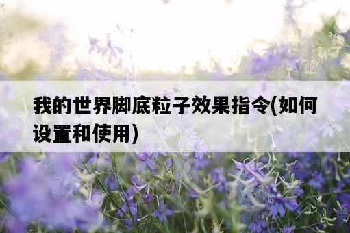 我的世界腳底粒子效果指令，如何設置和使用-圖1