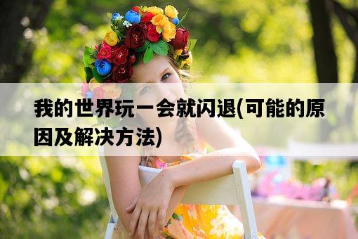 我的世界玩一會就閃退，可能的原因及解決方法-圖1