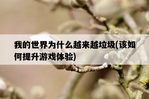 我的世界為什么越來越垃圾，該如何提升游戲體驗-圖1
