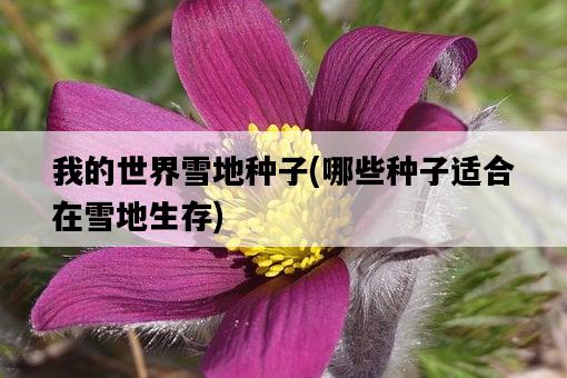 我的世界雪地種子，哪些種子適合在雪地生存-圖1