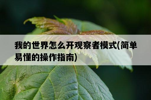 我的世界怎么開觀察者模式，簡單易懂的操作指南-圖1