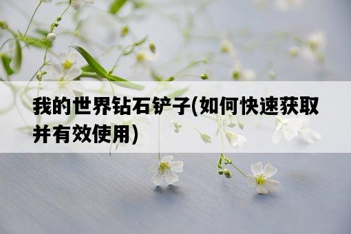 我的世界鉆石鏟子，如何快速獲取并有效使用-圖1