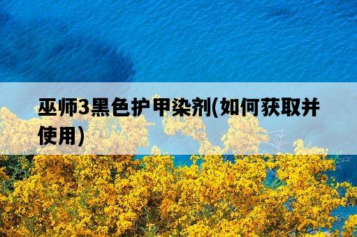 巫師3黑色護甲染劑，如何獲取并使用-圖1