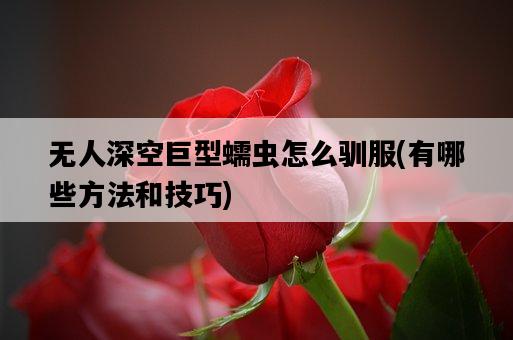 無人深空巨型蠕蟲怎么馴服，有哪些方法和技巧-圖1