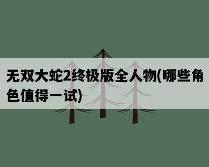 無雙大蛇2終極版全人物，哪些角色值得一試-圖1
