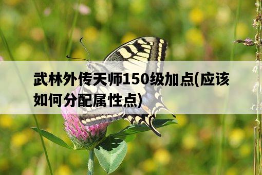 武林外傳天師150級加點，應該如何分配屬性點-圖1