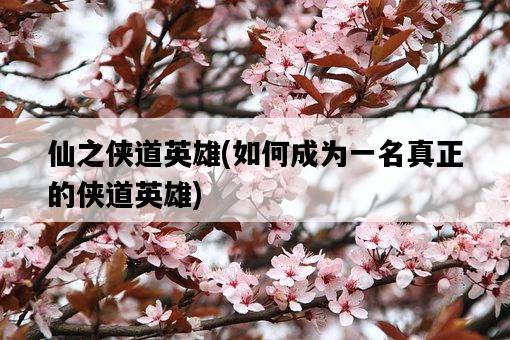 仙之俠道英雄，如何成為一名真正的俠道英雄-圖1