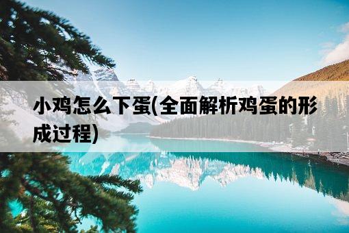 小雞怎么下蛋，全面解析雞蛋的形成過程-圖1