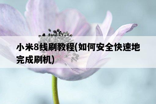 小米8線刷教程，如何安全快速地完成刷機-圖1