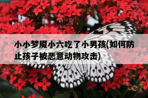 小小夢魘小六吃了小男孩，如何防止孩子被惡意動物攻擊-圖1