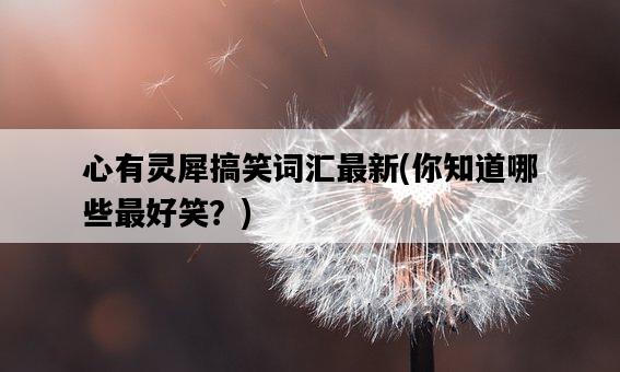 心有靈犀搞笑詞匯最新，你知道哪些最好笑？-圖1