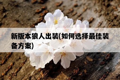 新版本狼人出裝，如何選擇最佳裝備方案-圖1