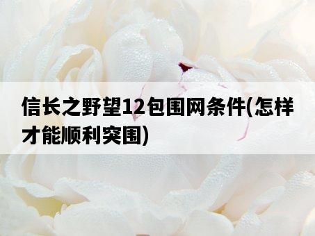 信長之野望12包圍網條件，怎樣才能順利突圍-圖1