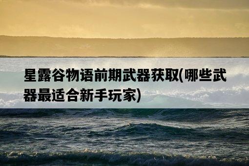 星露谷物語前期武器獲取，哪些武器最適合新手玩家-圖1