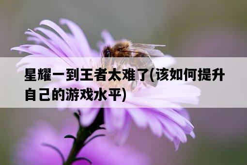 星耀一到王者太難了,該如何提升自己的游戲水平-圖1 星耀一到王者太難了,該如何提升自己的游戲水平-圖1