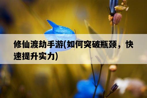 修仙渡劫手游，如何突破瓶頸，快速提升實力-圖1