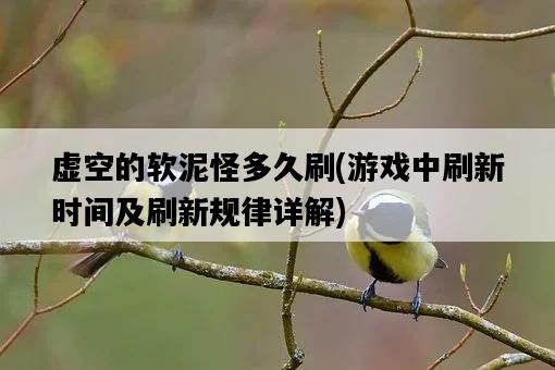 虛空的軟泥怪多久刷，游戲中刷新時間及刷新規律詳解-圖1