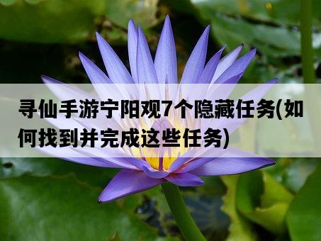 尋仙手游寧陽觀7個隱藏任務，如何找到并完成這些任務-圖1