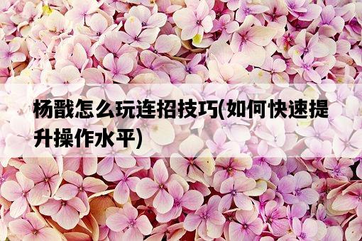 楊戩怎么玩連招技巧，如何快速提升操作水平-圖1