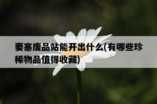 要塞廢品站能開出什么，有哪些珍稀物品值得收藏-圖1