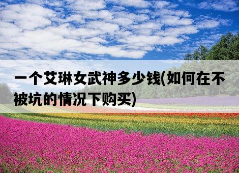 一個艾琳女武神多少錢，如何在不被坑的情況下購買-圖1