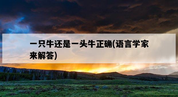 一只牛還是一頭牛正確，語言學家來解答-圖1