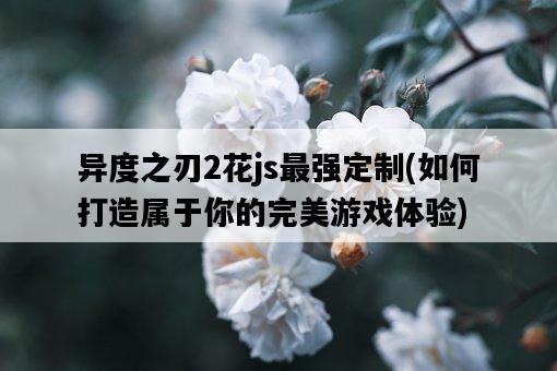 異度之刃2花js最強定制，如何打造屬于你的完美游戲體驗-圖1
