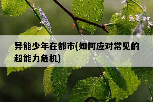 異能少年在都市，如何應對常見的超能力危機-圖1