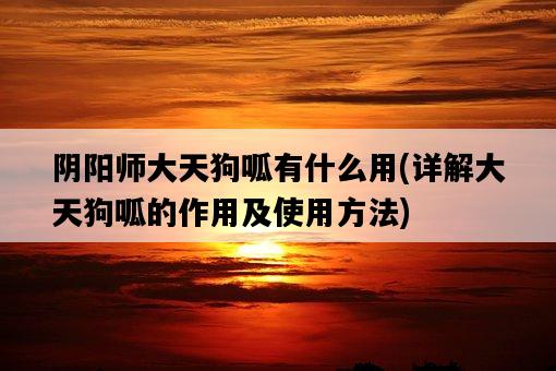 陰陽師大天狗呱有什么用，詳解大天狗呱的作用及使用方法-圖1