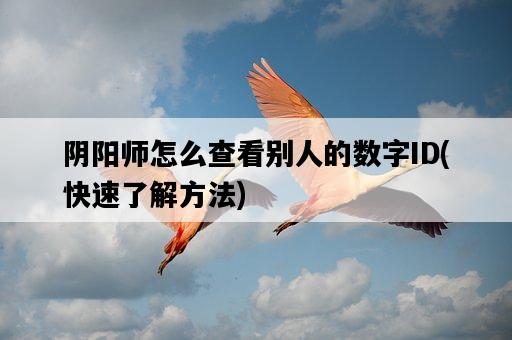 陰陽師怎么查看別人的數字ID，快速了解方法-圖1