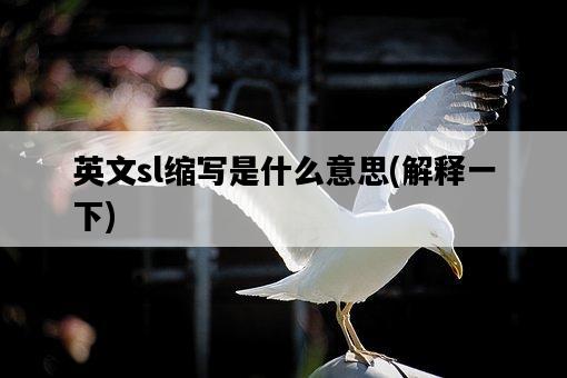 英文sl縮寫是什么意思，解釋一下-圖1