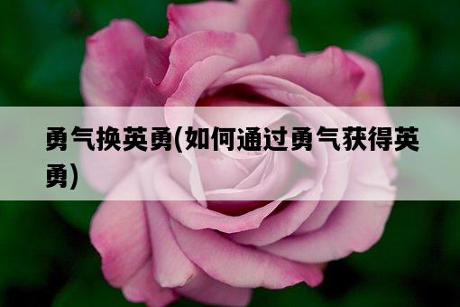 勇氣換英勇，如何通過勇氣獲得英勇-圖1