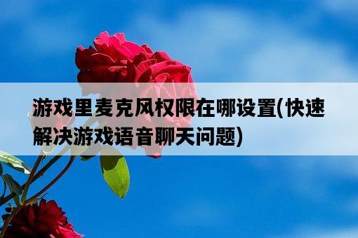游戲里麥克風權限在哪設置，快速解決游戲語音聊天問題-圖1