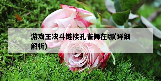 游戲王決斗鏈接孔雀舞在哪，詳細解析-圖1