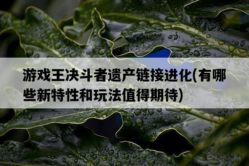 游戲王決斗者遺產鏈接進化，有哪些新特性和玩法值得期待-圖1