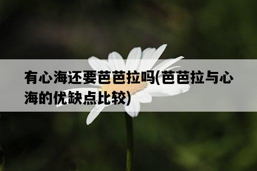 有心海還要芭芭拉嗎，芭芭拉與心海的優缺點比較-圖1