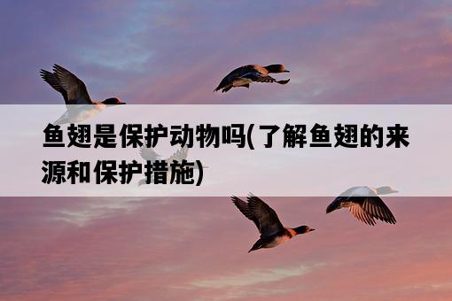 魚翅是保護動物嗎，了解魚翅的來源和保護措施-圖1